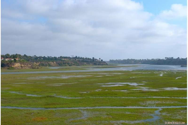 Treated Sewage Drives Algal Blooms Threatening Southern California’s Coastal Ecosystem