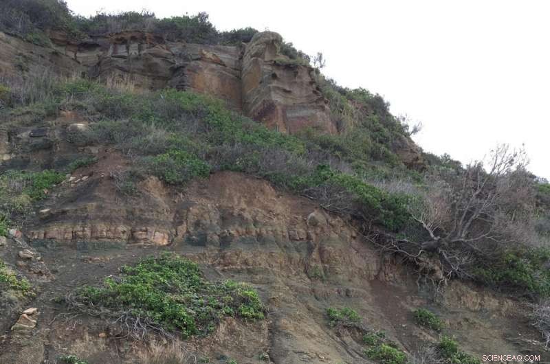 The Great Dying: Rapid Collapse of Glossopteris Forest-Mire Ecosystems in High Southern Latitudes