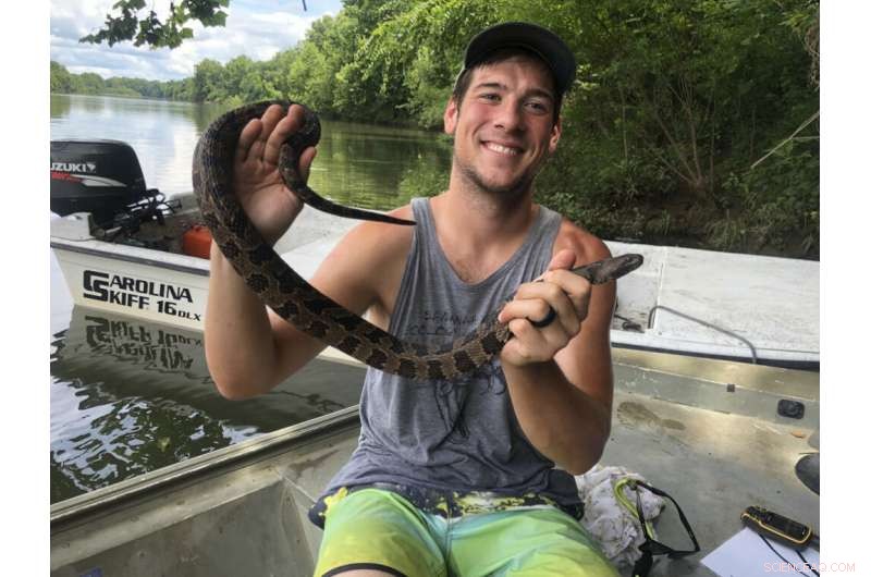 Study Finds Significant Reduction of Mercury in Brown Watersnakes at Savannah River Site