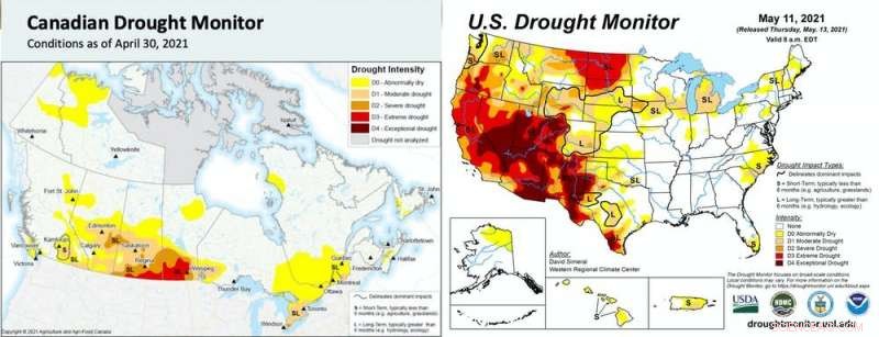 How Wildfires Drive Climate Change—and How Climate Change Fuels Wildfires