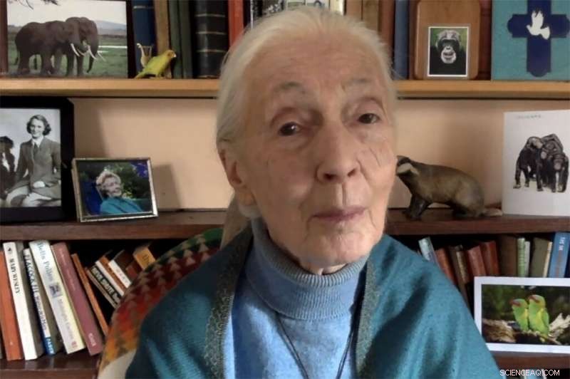 Jane Goodall Urges Global Shift in Thinking for Humanity s Survival