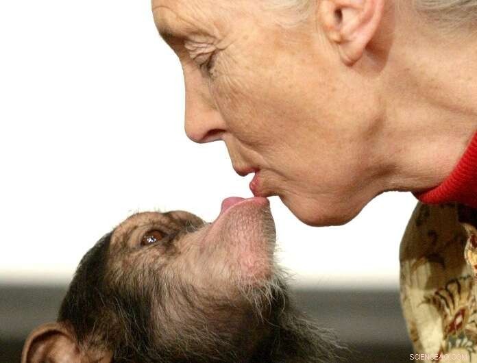 Jane Goodall Urges Global Shift in Thinking for Humanity s Survival