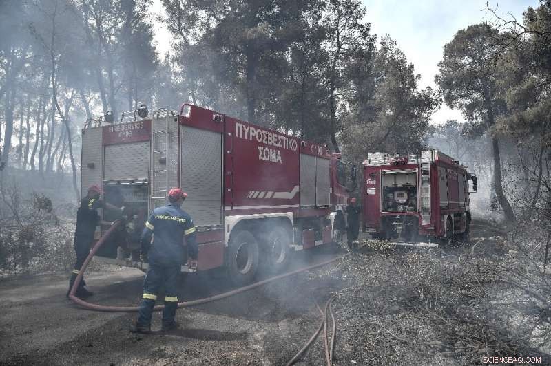 Greek Villages Evacuated Amid Escalating Mountain Forest Fire