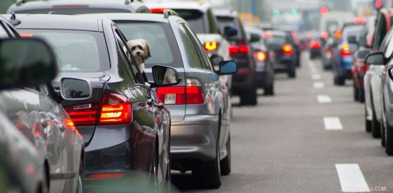 Net Zero: Breaking Bad Habits to Meet the Climate Deadline