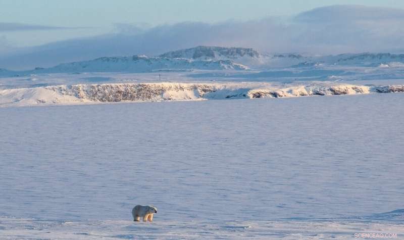 Arctic Warming Triples Global Rate, Study Warns