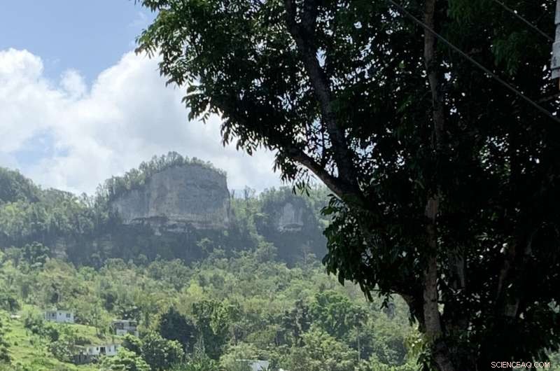 Study Finds Glyphosate Exposure Significantly Raises Risk of Preterm Births