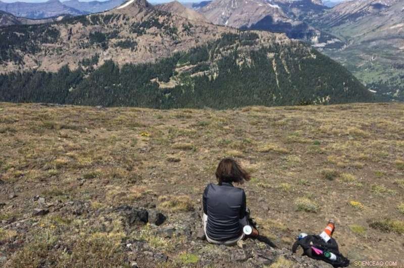 New Study Reveals Yellowstone s Summers Are Breaking Heat Records