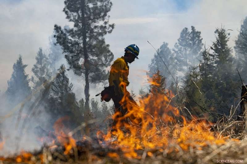 UM Students Lead Controlled Burn on Bandy Ranch to Combat Wildfire Threat