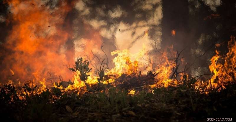 Western U.S. Fire Season Begins Amid Record Dryness, Exceeding 2020 s Extremes