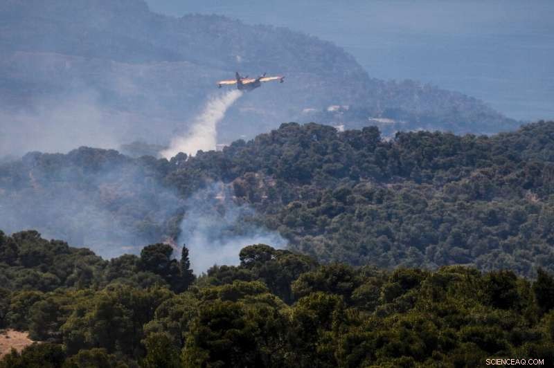 Greece Confronts Major Forest Fire Threatening Ecological Integrity