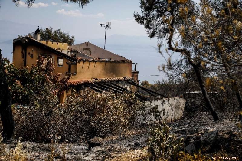 Greece Confronts Major Forest Fire Threatening Ecological Integrity