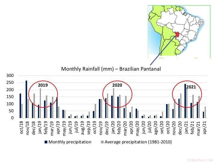 Researchers Uncover Key Factors Behind Pantanal’s Extreme Drought