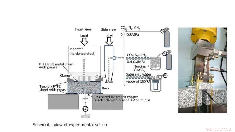 Electromagnetic Precursors to Earthquakes: Detecting Early Warning Signals