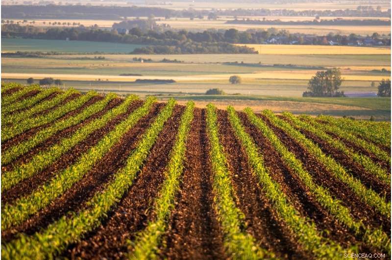 Corn Ethanol Cuts Carbon Footprint and Greenhouse Gas Emissions