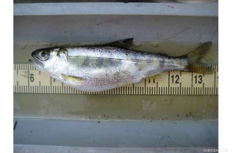 Water Crisis Intensifies Along Oregon-California Border: A Deepening Environmental Crisis