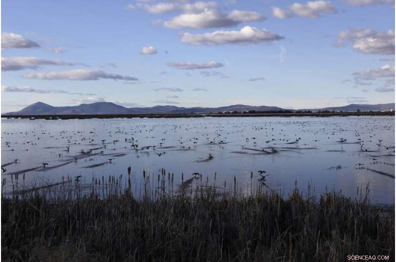 Water Crisis Intensifies Along Oregon-California Border: A Deepening Environmental Crisis