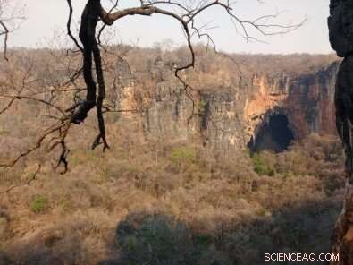 New Study Reveals Climate-Resilient Refugia in Brazil s Dry Forests