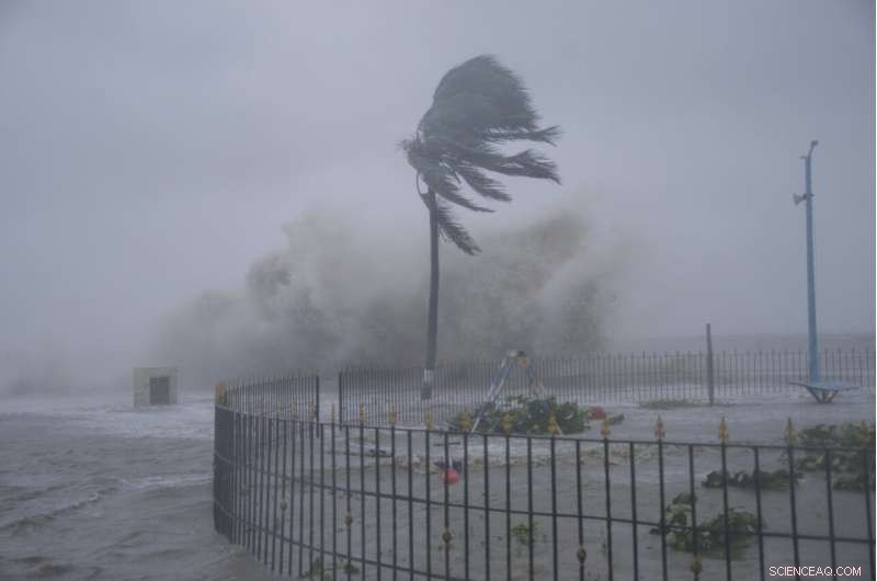 Cyclone Yaas Strikes India and Bangladesh: 6 Fatalities, 1.1 Million Evacuated