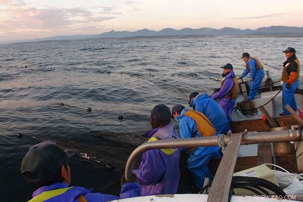 Rebuilding Waves: Community Resilience in Japanese Fisheries After the Tohoku Tsunami