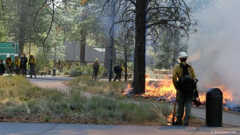 Why Summer Wildfire Preparedness Matters: Key Strategies & Insights