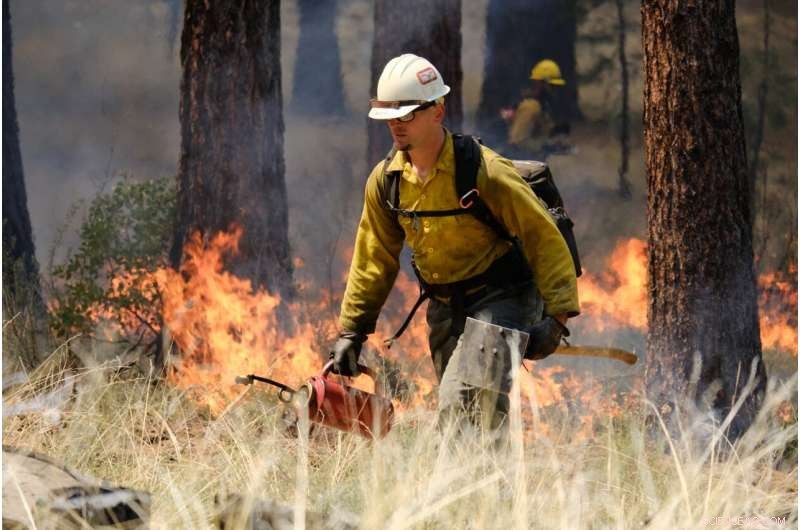 Why Summer Wildfire Preparedness Matters: Key Strategies & Insights