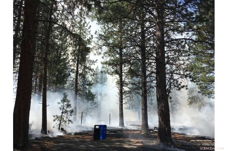 Why Summer Wildfire Preparedness Matters: Key Strategies & Insights