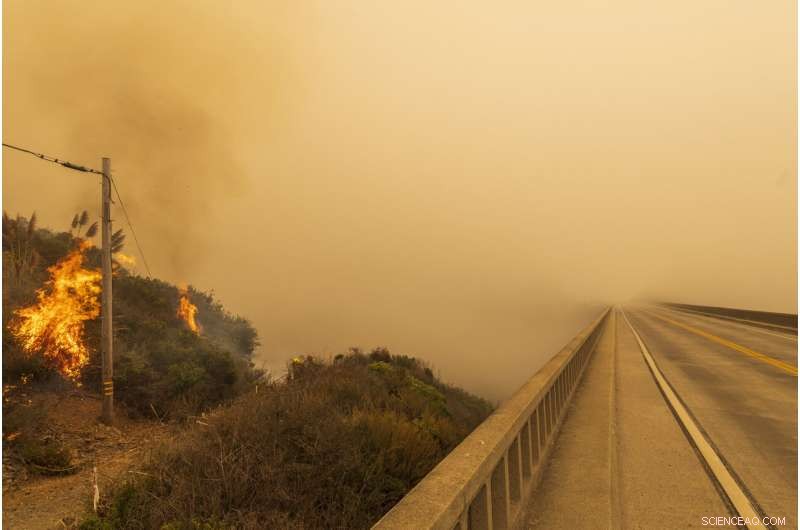 Why Summer Wildfire Preparedness Matters: Key Strategies & Insights