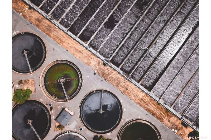 Sewage Drug Recovery: Safeguarding Wildlife and Water Resources