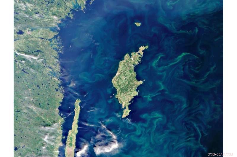 From India s Ralegan Siddhi to Sweden: Adopting Circular Water Solutions