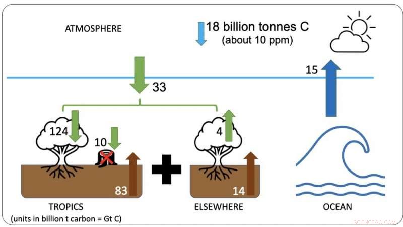 Impact of Reforesting the Tropics on Global Climate: What We Found