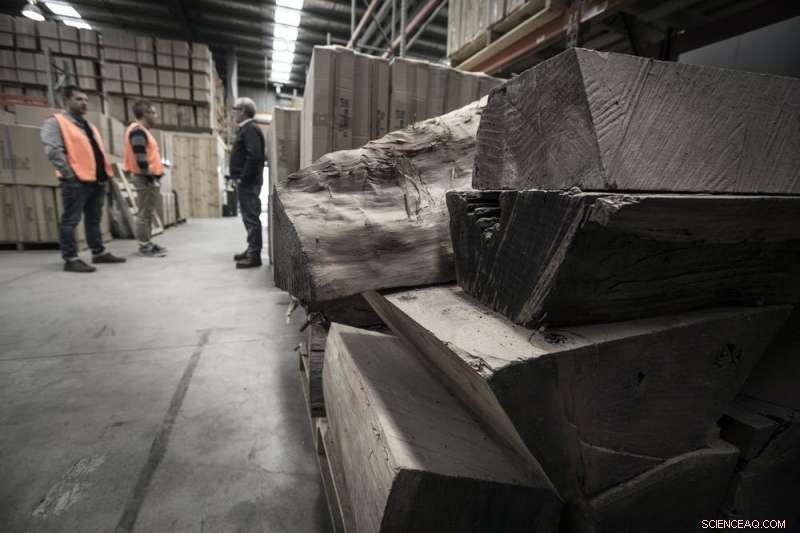 Unveiling the Guitar Industry’s Hidden Environmental Impact