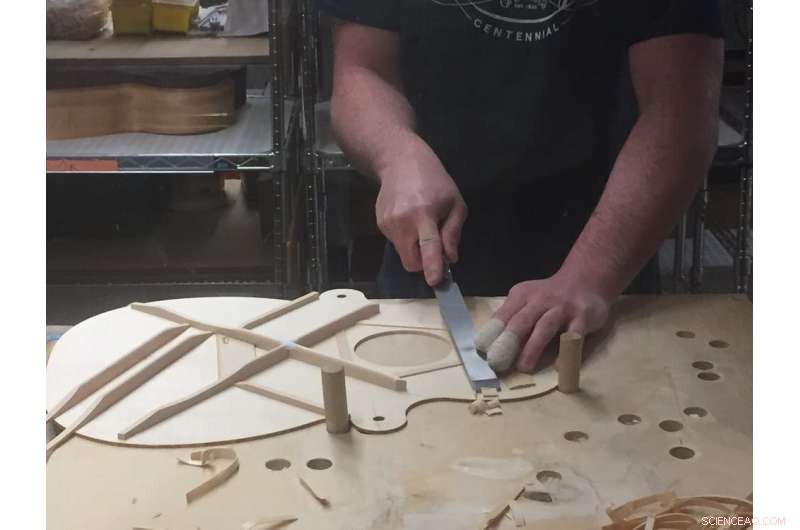 Unveiling the Guitar Industry’s Hidden Environmental Impact