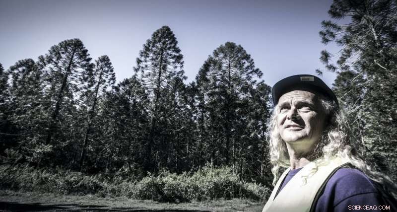 Unveiling the Guitar Industry’s Hidden Environmental Impact