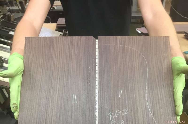 Unveiling the Guitar Industry’s Hidden Environmental Impact