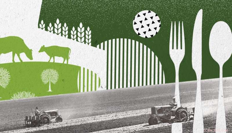 Retaining Ammonium in Soil Cuts Pollution and Boosts Crop Yields