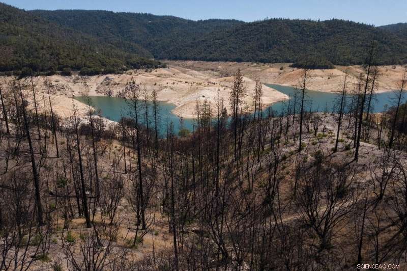 California Grapples with Severe Drought Ahead of Summer