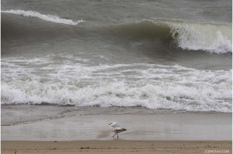 Lake Michigan’s High Waves Shut Down Chicago Beaches Amid Reopening