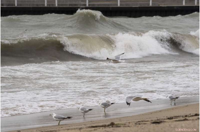 Lake Michigan’s High Waves Shut Down Chicago Beaches Amid Reopening