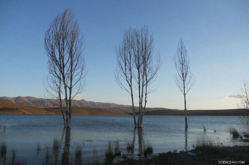 Revealing the Green Sahara: Fossil Plant Molecules Trace Ancient Desert Oasis