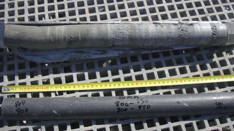 Revealing the Green Sahara: Fossil Plant Molecules Trace Ancient Desert Oasis