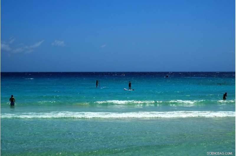 Cyprus Boasts EU s Cleanest Waters: Sparkling Beaches Await