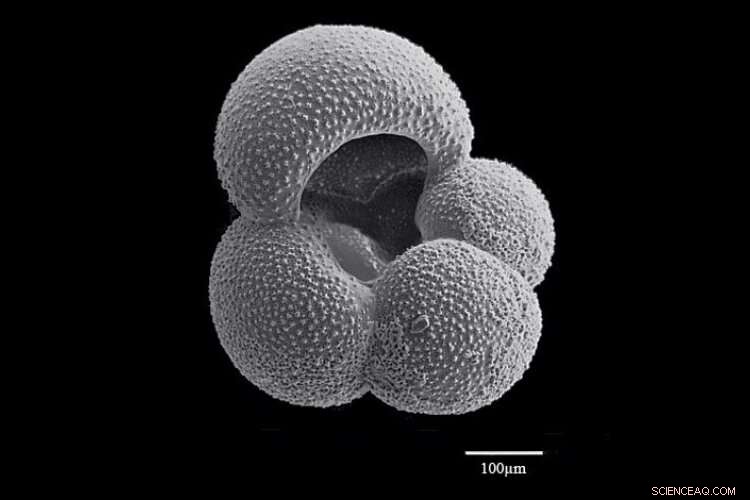 Earth s Past Climate Signals Urgent Action Now