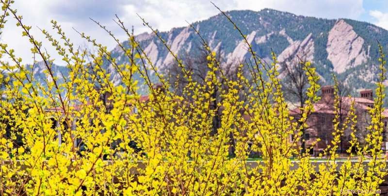 What a Green Spring Means for This Year s Fire Season