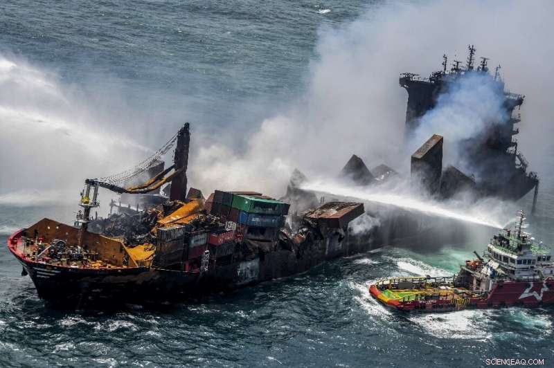 Burnt-out Container Ship Sinks Off Sri Lanka, Threatening Environment