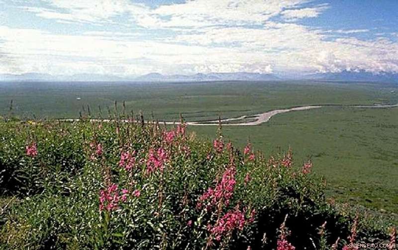 Biden Administration Suspends Oil Drilling in Alaska s Arctic National Wildlife Refuge