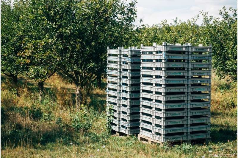 Recycling Broken Plastic: From Car Parts to Ski Boots and Beyond