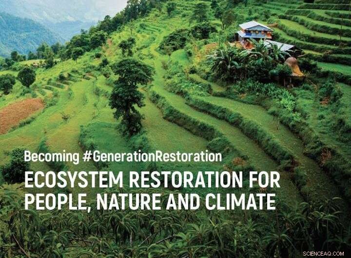 UN Calls for Aggressive Nature Restoration to Combat Climate and Biodiversity Crises