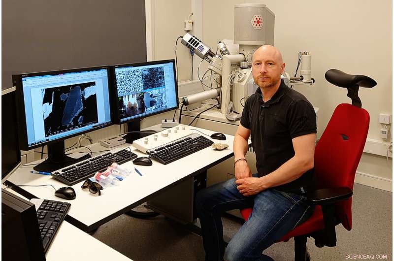 Deep Bedrock Mineral Veins Harbor Unexpected Microbial Communities