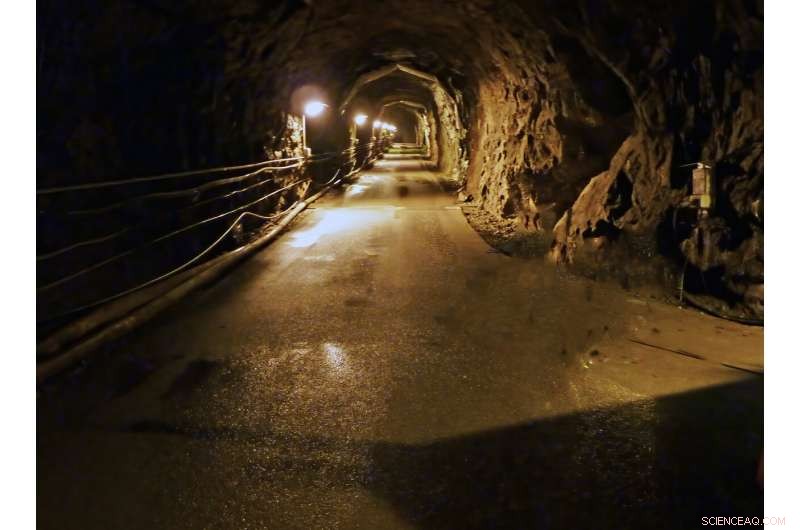 Deep Bedrock Mineral Veins Harbor Unexpected Microbial Communities