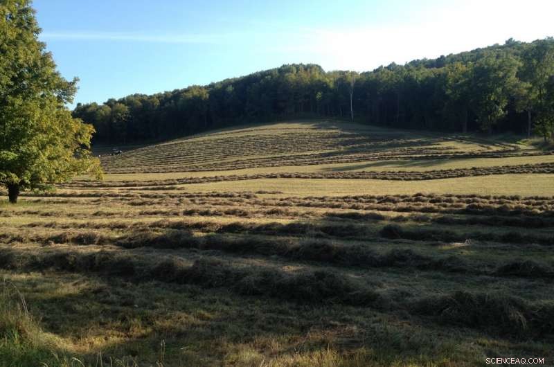Mixed Farming Techniques Cut U.S. Emissions While Boosting Productivity